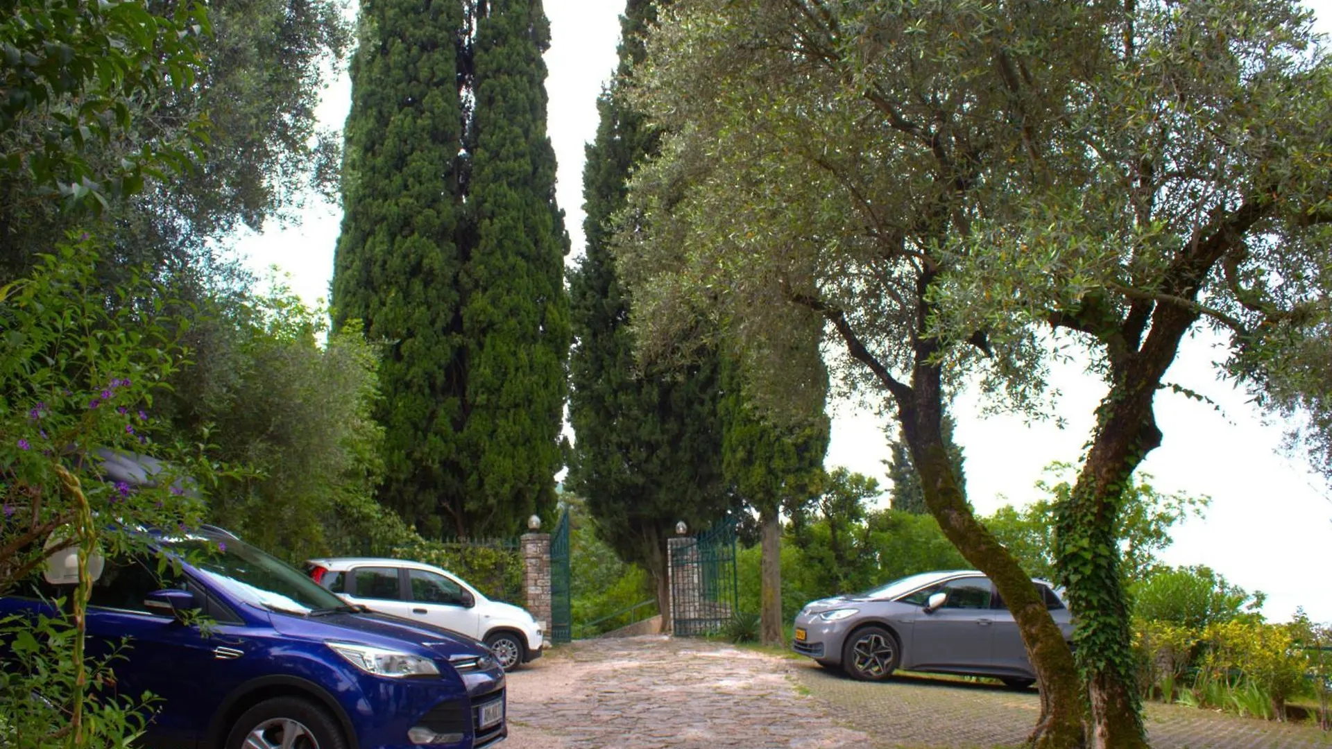 Wonderful Lake View Apartments With Pool With Breakfast Gardasee Torri Del Benaco