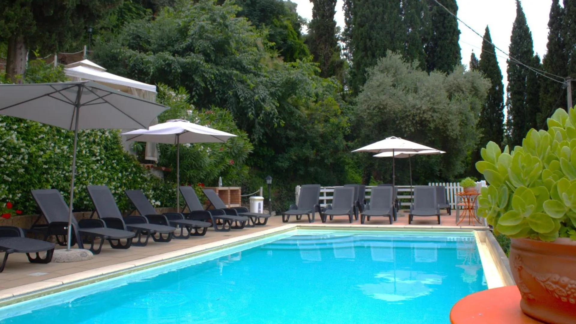 Wonderful Lake View Apartments With Pool With Breakfast Gardasee Torri Del Benaco Italien